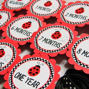 Ladybug Photo Banner, 1st Birthday, Newborn to 12 Months Banner