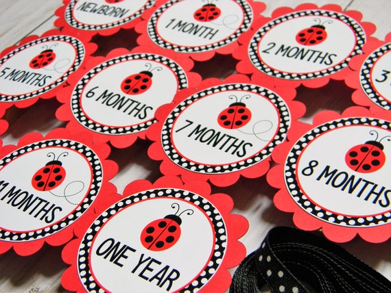 Ladybug Photo Banner, 1st Birthday, Newborn to 12 Months Banner