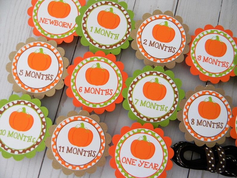 Pumpkin Photo Banner Newborn to 12 Months Banner 1st Birthday