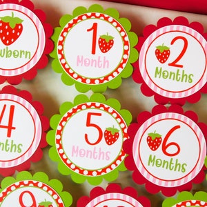 Strawberry 12 Month Photo Banner, Strawberry First Birthday Photo Banner, Baby&#39;s First Year, Berry First Birthday