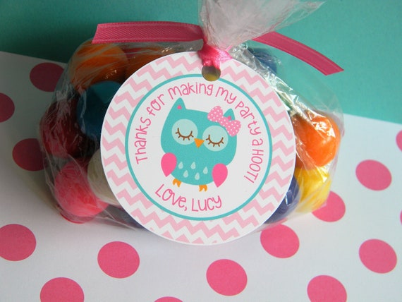 Owl Favor Tags, Owl Thank You Tags, Owl 1st Birthday in Pink and Teal