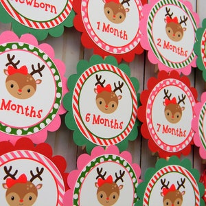 Girl Reindeer 12 Month Photo Banner, Christmas First Birthday Photo Banner, Baby&#39;s First Year