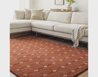 Anthro-vloerkleed rood raster – Anthropologie modern handgetuft tapijt met patroon