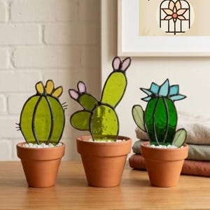 Cactus Immortel en Vitrail