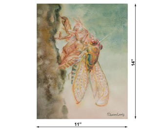 Original Cicada Watercolor Painting, Uframed Insect Art, Hand-Painted Nature Decor