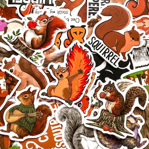 May include: A collection of die-cut vinyl stickers featuring various squirrel illustrations, including a squirrel holding a red apple, a squirrel playing a lute, a squirrel on a tree stump, and one with the text SQUIRREL printed in black.