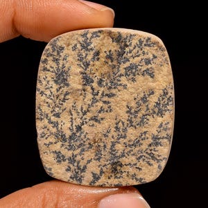 May include: A square-shaped, tan-colored stone with a unique pattern of black, tree-like inclusions. The stone is held between two fingers against a black background, highlighting its natural texture and color variations.