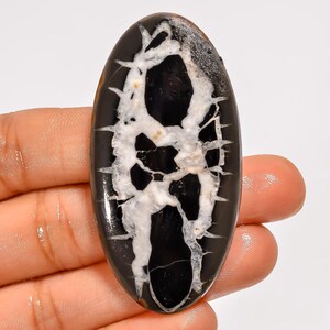May include: An oval-shaped gemstone with a striking pattern. The stone features a glossy black base with a prominent white and cream-colored, web-like design running through its center. The stone is held in a hand.
