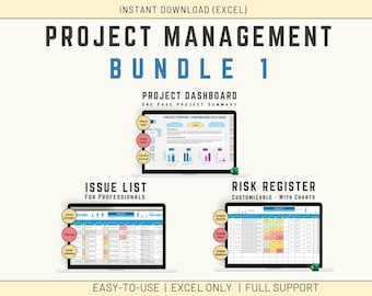 Paquete de gestión de proyectos de Excel, panel de estado del proyecto, registro de riesgos y registro de problemas