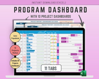 Panel de programas y proyectos de Excel: Consolidación de 10 proyectos (Descarga digital)