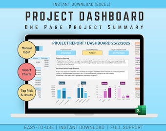 Excel Project Dashboard Template, Project Status Report (Digital Download)