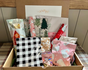 Phoebe Bridgers Gift Box  Phoebe Bridgers Advent Calendar  Phoebe Bridgers Christmas Gift   Phoebe Bridgers Fan  Boy Genius