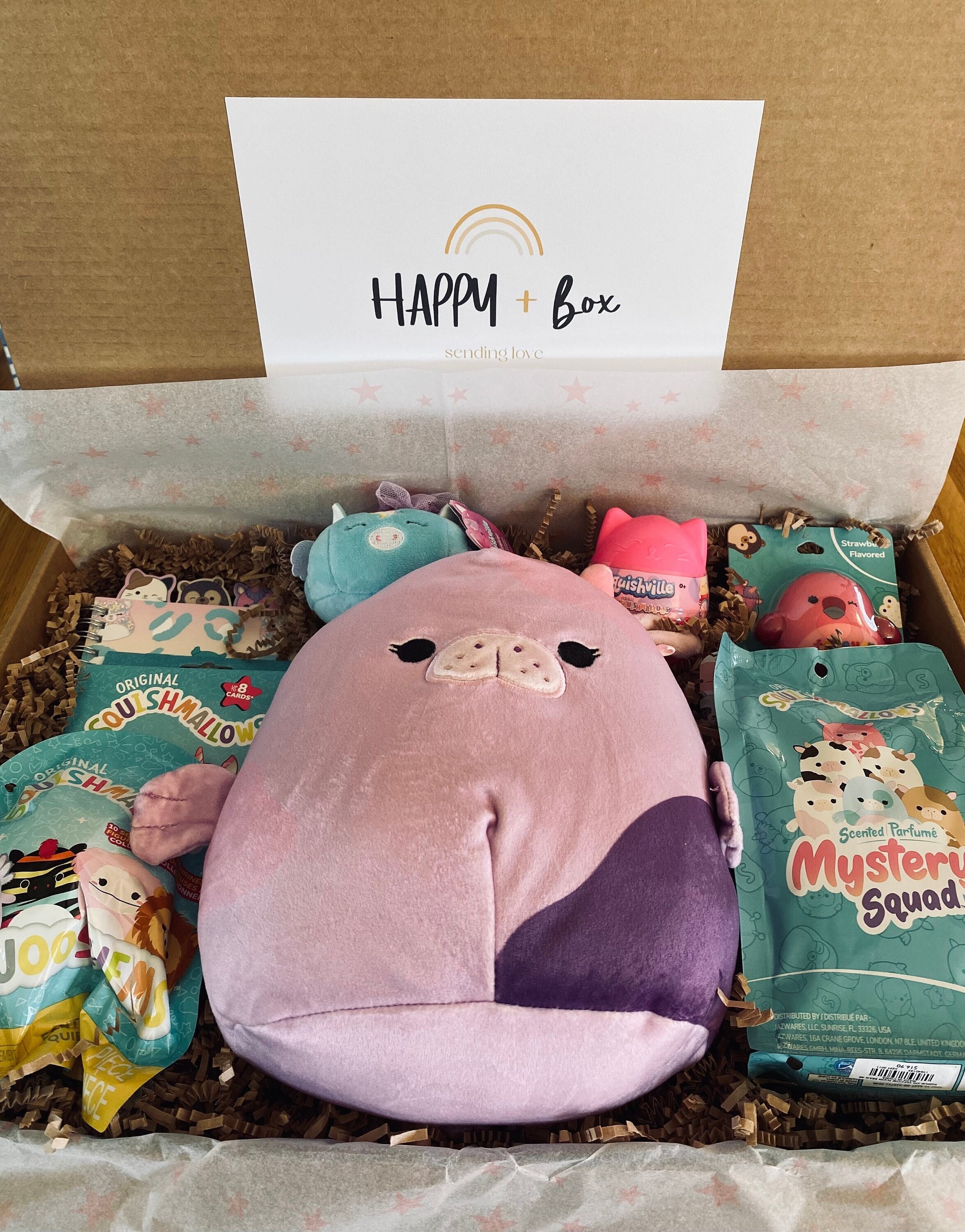 Squishmallow Advent Calendar - Etsy