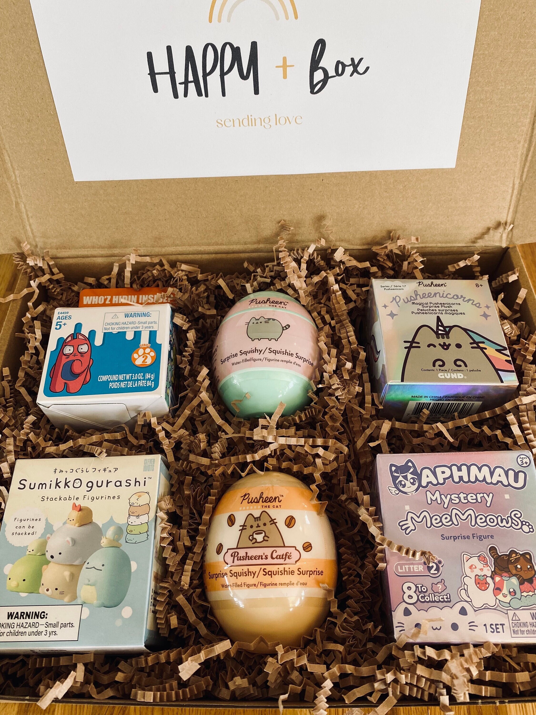 Pusheen Mystery Box
