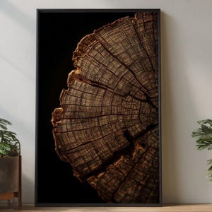 May include: A framed print featuring a detailed cross-section of a tree trunk, showcasing the natural wood grain and growth rings. The artwork is set against a black background, creating a striking contrast. The print is displayed in a room with plants.