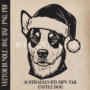 Può includere: Illustrazione vettoriale in bianco e nero di un Australian Stumpy Tail Cattle Dog con un cappello di Babbo Natale. L'immagine include il testo "VECTOR BUNDLE | SVG | DXF | PNG | PDF" e "AUSTRALIAN STUMPY TAIL CATTLE DOG".