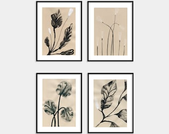 Botanical Ink Drawings Paintings Set of 4 Prints / Beige Neutral Living Room Wall Art / Office Décor / Many sizes up to 24x36'' / A1