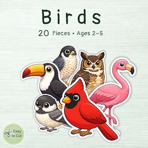 May include: A collection of colorful bird stickers, including a toucan, owl, flamingo, and cardinal. The word "Birds" is written in green above the birds. The text "20 Pieces • Ages 2-5" is also included. The words "Easy to Cut" are in a green circle.