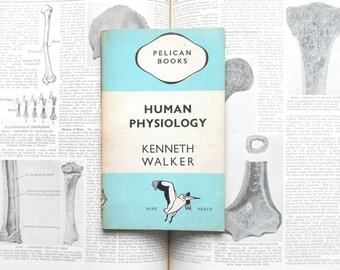 1940s human biology book Human Physiology by Kenneth Walker