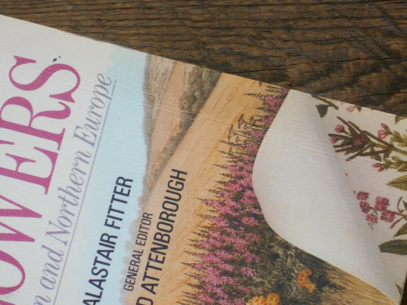 British Wild Flower Guide Book Vintage Wild Flowers of Etsy