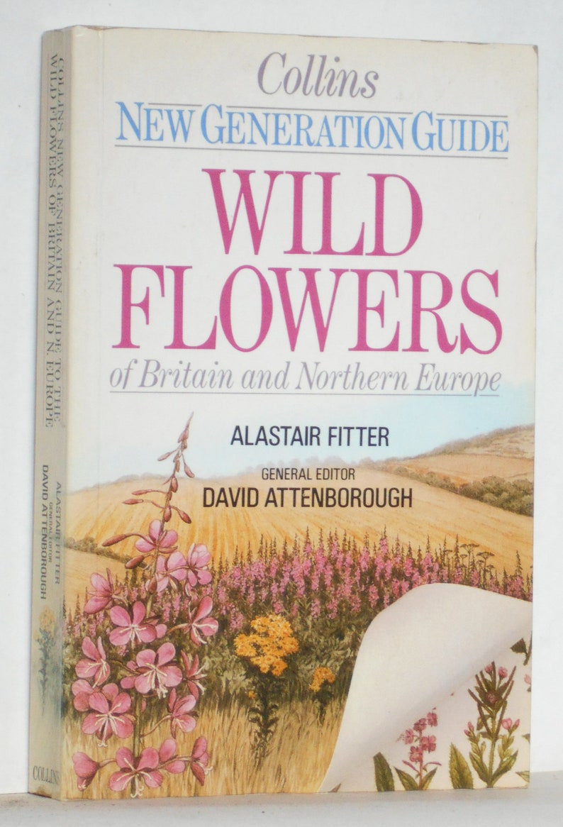 British Wild Flower Guide Book Vintage Wild Flowers of Etsy