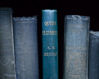 Queen Elizabeth I biography, Queen Elizabeth by Edward Spencer Beesly antique book