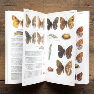 British Butterfly book, field guide to Butterflies of Britain and Europe with day-flying moths