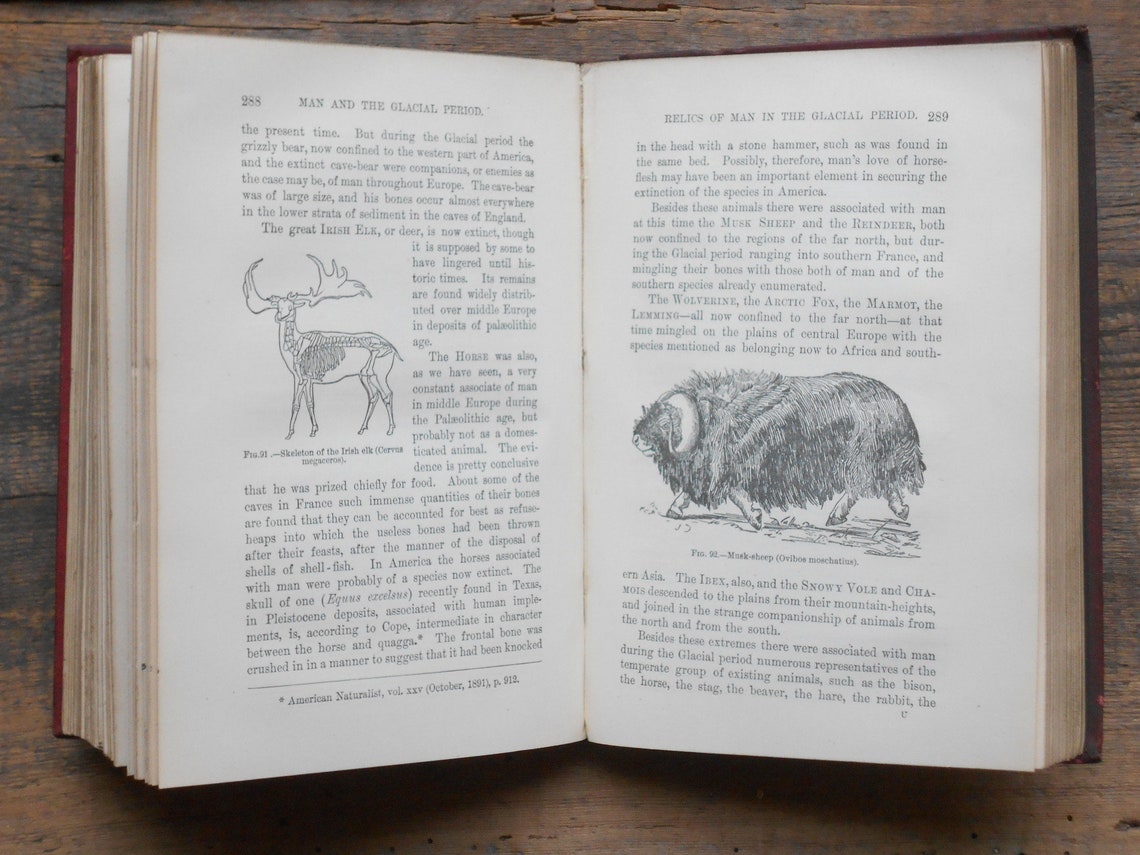 Antique Book Geology Anthropology 1890s Man and the Glacial Etsy