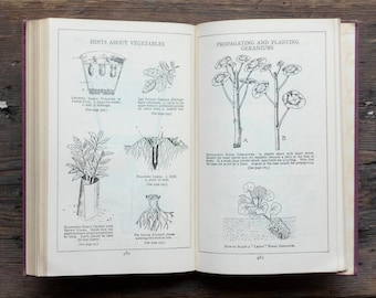 vintage garden book An Illustrated Encyclopaedia of Gardening