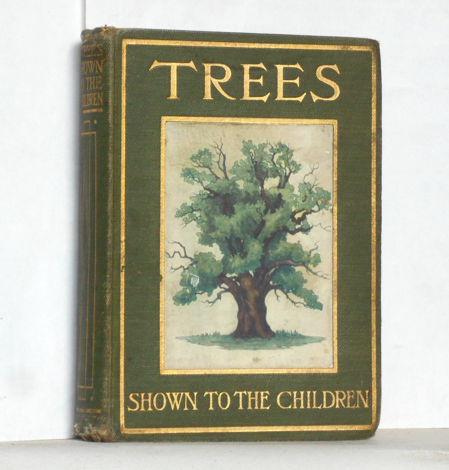 Vintage Nature Study Book Trees Childrens Natural History photo