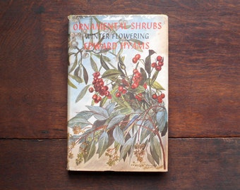 Winter colour Ornamental Shrubs, 1960s gardening book by Edward Hyams