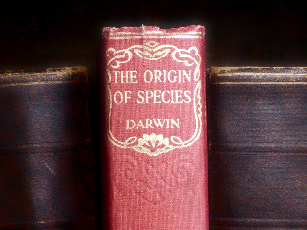 Charles Darwin Book, the Origin of Species, Natural History Vintage