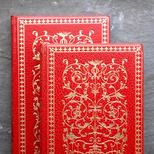 Anna Karenina by Leo Tolstoy in two volumes faux leather vintage books