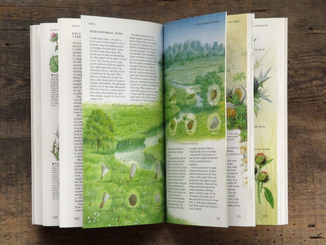 British Wild Flower Guide Book Vintage Wild Flowers of Etsy