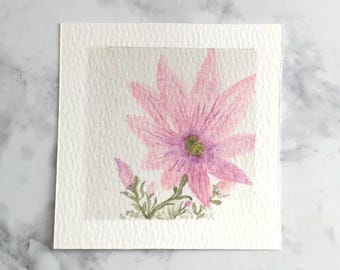 Small Watercolor Painting Original Flowers Botanical Miniature Hand Painted Gallery Artwork Collectible Mini Series Art 3X3 Inch