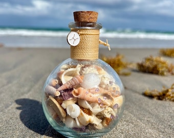 Handgemachte Muschel-Tierkreis-Trankflasche, von der Astrologie inspiriertes Meeresdekor (5.0 oz), Beachcombers Treasure