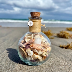 Mikstura z muszli syreny z amuletem zodiaku i kamieniami szlachetnymi • Ręcznie robiony wystrój domu w stylu nadmorskim • Inspirowany astrologią
