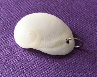 Seashell Pendant- Real North Carolina Baby's Ear Seashell- Simple Beach Jewelry