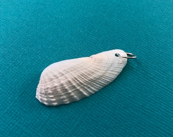 Angelwing Clam Shell Charm- Cute Small Seashell Charm- Simple Beach Jewelry- North Carolina Beach Souvenir