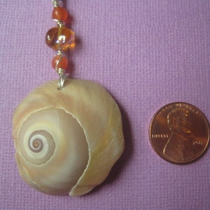 Seashell Choker Necklace Real North Carolina Moon Snail Seashell Unique Beach Jewelry image 2