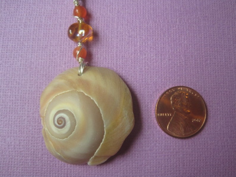 Seashell Choker Necklace Real North Carolina Moon Snail Seashell Unique Beach Jewelry image 2