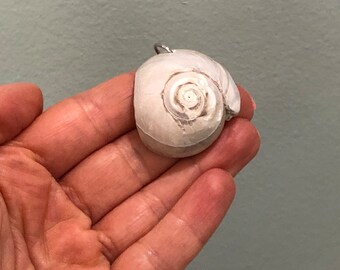 Seashell Pendant- Real Moon Shell Pendant- North Carolina Beach Souvenir- Simple Beach Jewelry- Unisex
