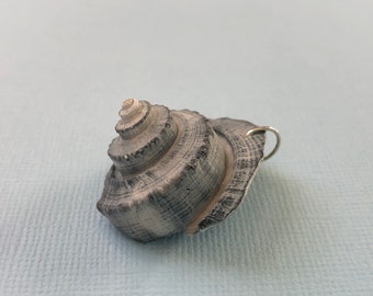 Seashell Pendant- Channel Whelk Shell- North Carolina Beach Souvenir- Simple Beach Jewelry