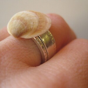 Puede incluir: Un anillo con una concha en la parte superior. El anillo es de plata y tiene una banda texturizada.