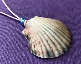 Scallop Seashell Necklace- Pink Scallop Shell- Real Seashell Necklace- North Carolina Beach Jewelry