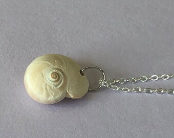 Seashell Necklace- White Moon Shell- Real North Carolina Seashell- Simple Beach Jewelry