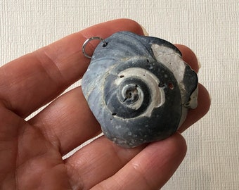Moon Shell Pendant- Real Seashell Pendant- North Carolina Beach Souvenir- Simple Beach Jewelry