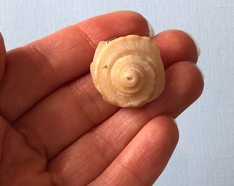 Seashell Charm- Small Whelk Shell Charm- Channel Whelk Shell- North Carolina Beach Souvenir- Simple Beach Jewelry