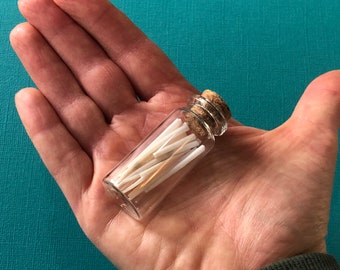 Tusk Shells in Mini Glass Bottle- Unique Trinket- Mini Curiosity Vial- Natural History- North Carolina Beach Souvenir