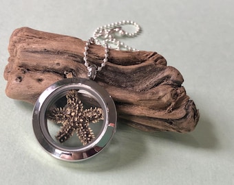 Tiny Starfish Locket Necklace- Glass Locket with Real North Carolina Starfish- Unique Beach Locket